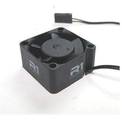 R1wurks 30Mm X 15Mm R1031 (6 Volts) 1