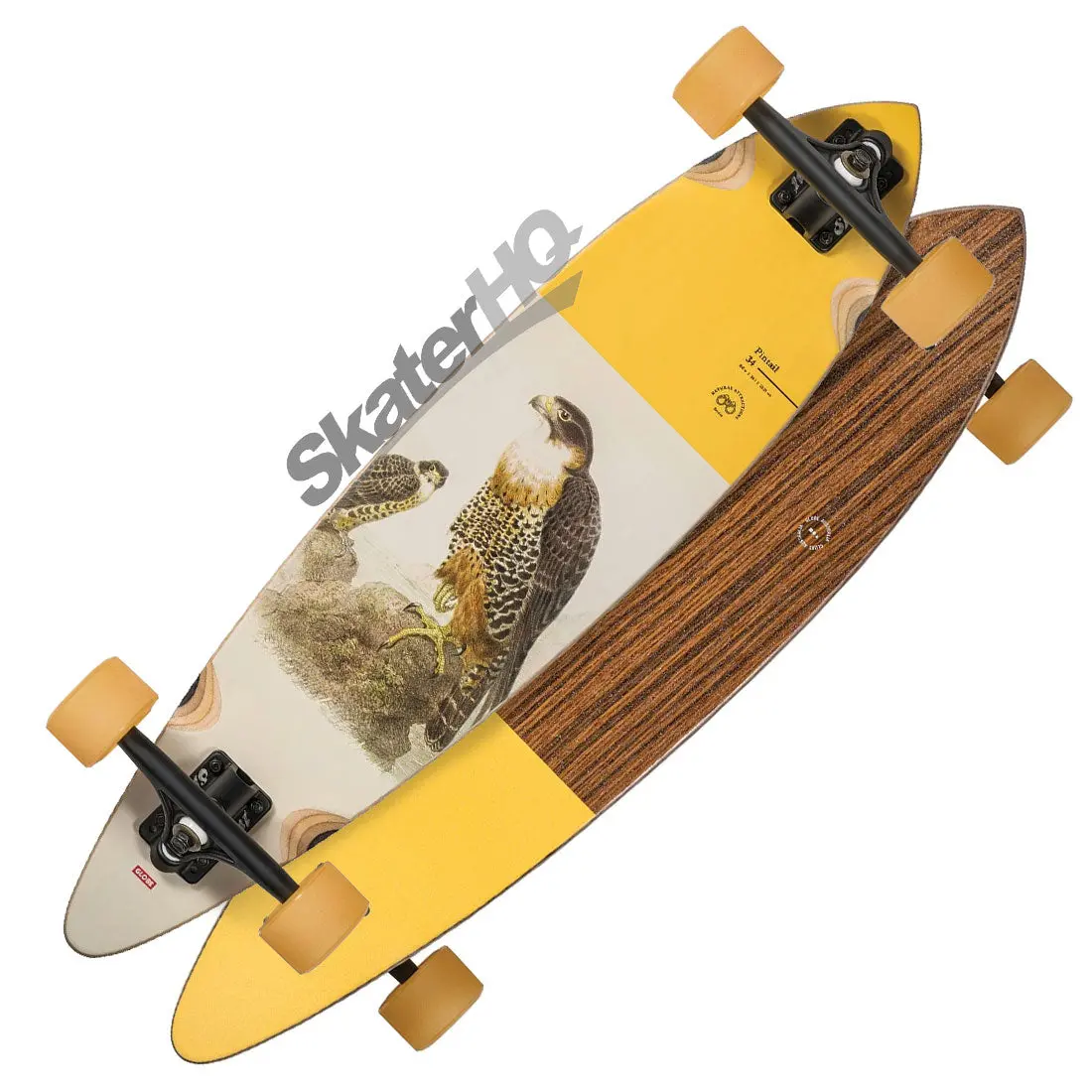 Globe Pintail 34 Complete - Falcon 1
