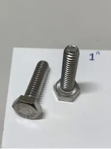 S.S 18-8 Hex Cap Bolt, 1/4"-20 X 1" (2138) 1