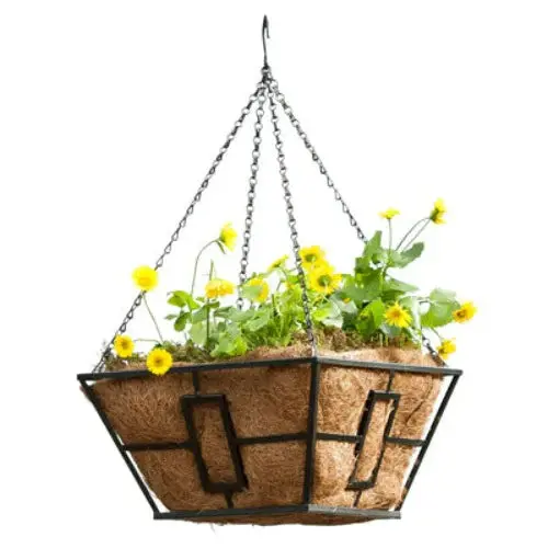 Panacea 87850Gt 14" Square Black Steel Hanging Plant Basket - Quantity Of 18 1
