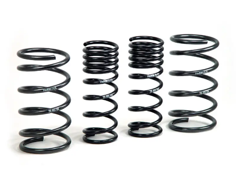 H&R 00-05 Ford Focus/Focus Svt Daw Sport Spring (Non Wagon) 1