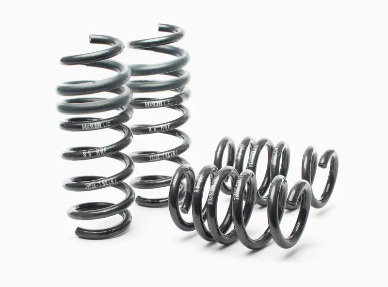 H&R 08-15 Audi R8/R8 Cabrio V8/V10 Sport Spring 1