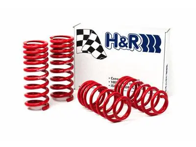 H&R 94-95 Ford Mustang/Mustang Cobra V8 Race Spring 1