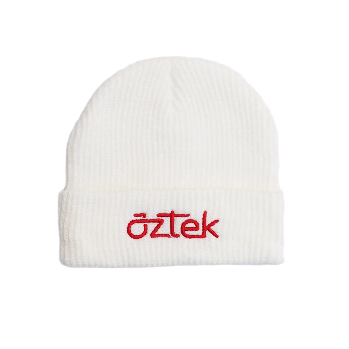Aztek Logo Beanie 1