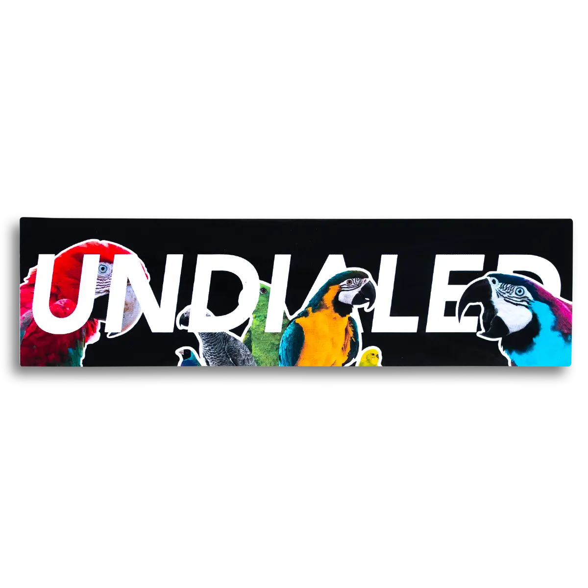 Undialed Boxed Sticker - Parrot 1