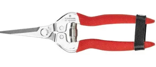 Corona Ag 4930Ss Stainless Steel Long Straight Pruning / Pruner Snip Clippers - Quantity Of 4 1