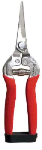 Corona Ag 4930Ss Stainless Steel Long Straight Pruning / Pruner Snip Clippers - Quantity Of 6 2