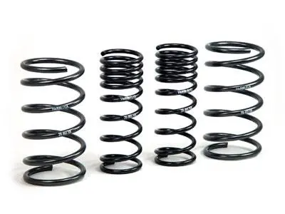 H&R 00-05 Ford Focus/Focus Svt Daw Sport Spring (Non Wagon) 2